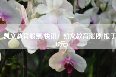 凯文教育股票(快讯：凯文教育涨停 报于4.47元)