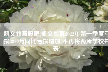 凯文教育股吧(凯文教育2022年第一季度亏损3820万同比亏损增加 不再将两所学校并表)