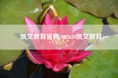 凯文教育官网(002659凯文教育)