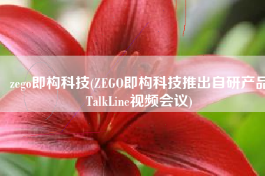 zego即构科技(ZEGO即构科技推出自研产品TalkLine视频会议)