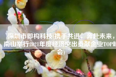 深圳市即构科技(携手共进，奔赴未来，南山举行2021年度经济突出贡献企业TOP峰会)