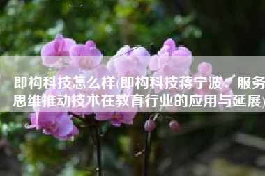 即构科技怎么样(即构科技蒋宁波：服务思维推动技术在教育行业的应用与延展)