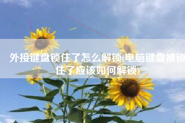 外接键盘锁住了怎么解锁(电脑键盘被锁住了应该如何解锁)