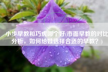 小步早教和巧虎哪个好(市面早教的对比分析，如何给娃选择合适的早教？)