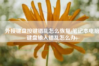 外接键盘按键错乱怎么恢复(笔记本电脑键盘输入错乱怎么办)