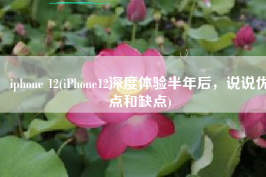 iphone 12(iPhone12深度体验半年后，说说优点和缺点)