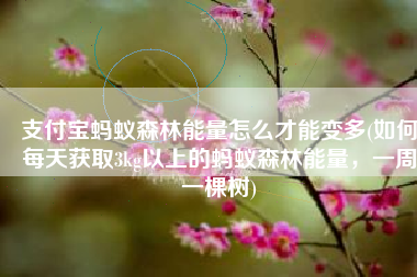 支付宝蚂蚁森林能量怎么才能变多(如何每天获取3kg以上的蚂蚁森林能量，一周一棵树)