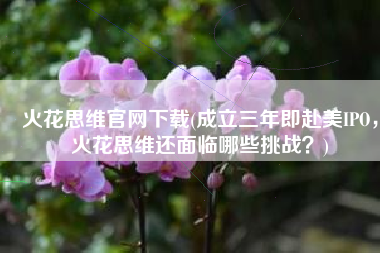 火花思维官网下载(成立三年即赴美IPO，火花思维还面临哪些挑战？)