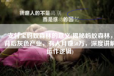 支付宝蚂蚁森林的意义(揭秘蚂蚁森林，背后灰色产业，有人月赚50万，深度讲解运作逻辑)