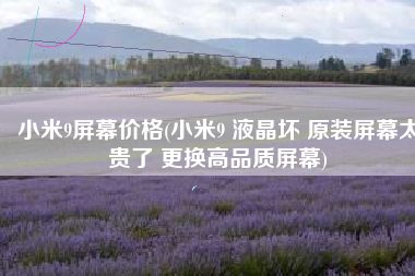 小米9屏幕价格(小米9 液晶坏 原装屏幕太贵了 更换高品质屏幕)