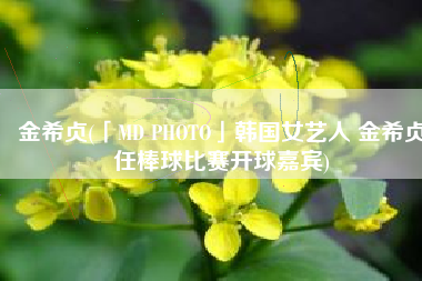 金希贞(「MD PHOTO」韩国女艺人 金希贞任棒球比赛开球嘉宾)