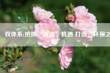 双体系(抢抓“双碳”机遇 打造“环保之都”)