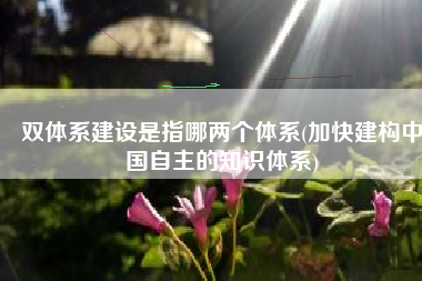 双体系建设是指哪两个体系(加快建构中国自主的知识体系)