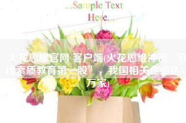 火花思维官网 客户端(火花思维冲击“在线素质教育第一股”，我国相关企业达5.6万家)