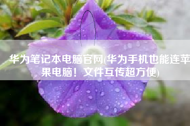 华为笔记本电脑官网(华为手机也能连苹果电脑！文件互传超方便)