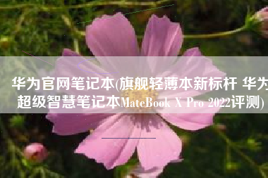 华为官网笔记本(旗舰轻薄本新标杆 华为超级智慧笔记本MateBook X Pro 2022评测)