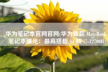 华为笔记本官网官网(华为新款 MateBook 笔记本曝光：最高搭载 14 核 i7-12700H)