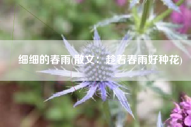 细细的春雨(散文：趁着春雨好种花)