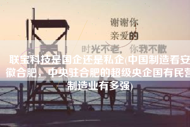 联宝科技是国企还是私企(中国制造看安徽合肥，中央驻合肥的超级央企国有民营制造业有多强)