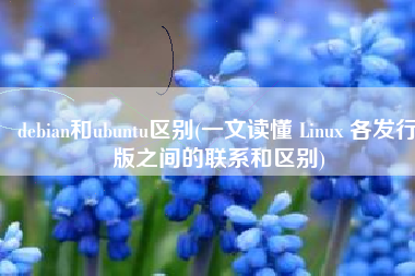 debian和ubuntu区别(一文读懂 Linux 各发行版之间的联系和区别)