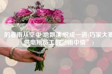 的春雨从空中 地飘落,织成一道(巧家大寨供电所员工的“雨中情”)