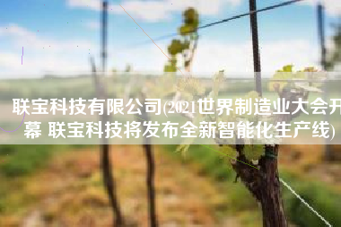 联宝科技有限公司(2021世界制造业大会开幕 联宝科技将发布全新智能化生产线)