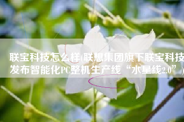 联宝科技怎么样(联想集团旗下联宝科技发布智能化PC整机生产线“水星线2.0”)