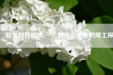 联宝科技招聘(一个制造业企业的用工探索)
