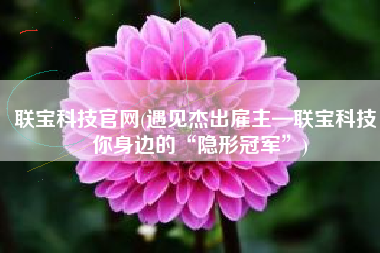 联宝科技官网(遇见杰出雇主—联宝科技，你身边的“隐形冠军”)