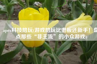 apex科技陪玩(游戏陪玩比老板还新手！盘点那些“非主流”的小众游戏)