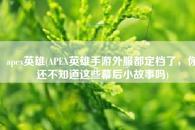 apex英雄(APEX英雄手游外服都定档了，你还不知道这些幕后小故事吗)
