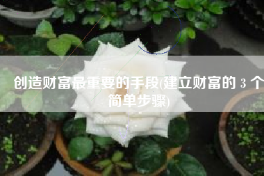 创造财富最重要的手段(建立财富的 3 个简单步骤)