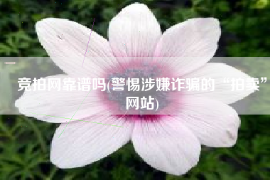 竞拍网靠谱吗(警惕涉嫌诈骗的“拍卖”网站)