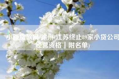 小额贷款网 徐州(江苏终止89家小贷公司经营资格｜附名单)