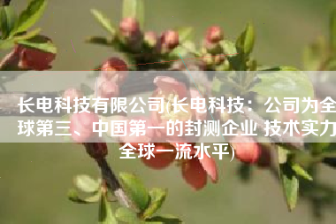 长电科技有限公司(长电科技：公司为全球第三、中国第一的封测企业 技术实力全球一流水平)
