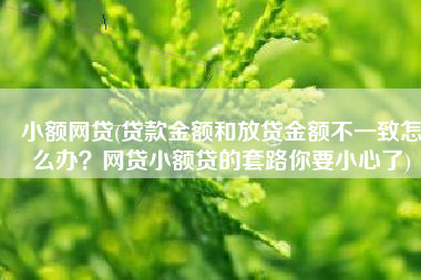 小额网贷(贷款金额和放贷金额不一致怎么办？网贷小额贷的套路你要小心了)
