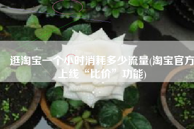 逛淘宝一个小时消耗多少流量(淘宝官方上线“比价”功能)