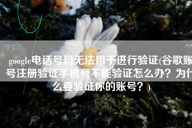 google电话号码无法用于进行验证(谷歌账号注册验证手机号不能验证怎么办？为什么要验证你的账号？)