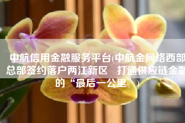 中航信用金融服务平台(中航金网络西部总部签约落户两江新区   打通供应链金融的“最后一公里”)