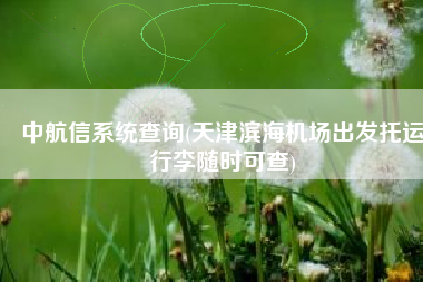 中航信系统查询(天津滨海机场出发托运行李随时可查)