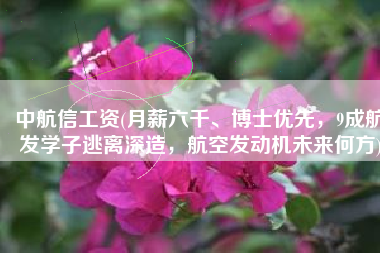 中航信工资(月薪六千、博士优先，9成航发学子逃离深造，航空发动机未来何方)
