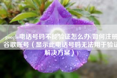 google电话号码不能验证怎么办(如何注册谷歌账号（显示此电话号码无法用于验证解决方案）)