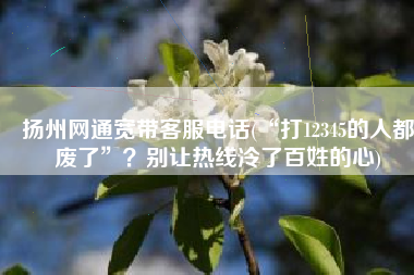 扬州网通宽带客服电话(“打12345的人都废了”？别让热线冷了百姓的心)