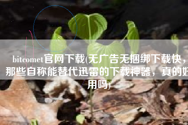 bitcomet官网下载(无广告无捆绑下载快，那些自称能替代迅雷的下载神器，真的好用吗)