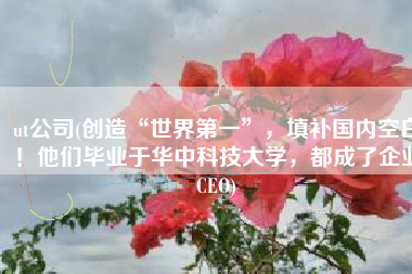 ut公司(创造“世界第一”，填补国内空白！他们毕业于华中科技大学，都成了企业CEO)
