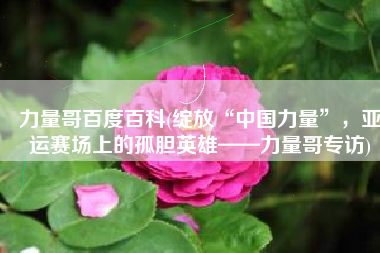 力量哥百度百科(绽放“中国力量”，亚运赛场上的孤胆英雄——力量哥专访)