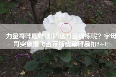 力量哥哔哩哔哩(搁这力量训练呢？字母哥突破撞飞吉莱斯皮单臂暴扣2+1)