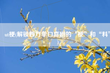 ut梗(解锁西方单口喜剧的“梗”和“料”)