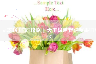 ut攻略(UTWT攻略 | 天王级越野跑赛事UTMB)