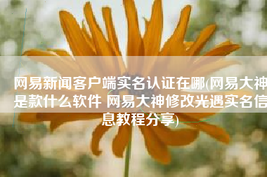 网易新闻客户端实名认证在哪(网易大神是款什么软件 网易大神修改光遇实名信息教程分享)